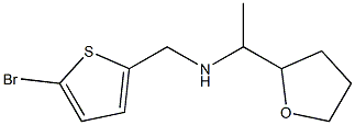 [(5-bromothiophen-2-yl)methyl][1-(oxolan-2-yl)ethyl]amine|