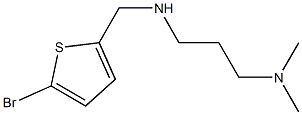 [(5-bromothiophen-2-yl)methyl][3-(dimethylamino)propyl]amine Structure