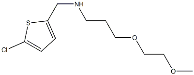 [(5-chlorothiophen-2-yl)methyl][3-(2-methoxyethoxy)propyl]amine Structure