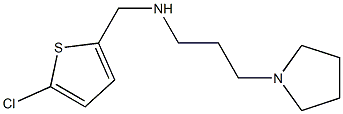 [(5-chlorothiophen-2-yl)methyl][3-(pyrrolidin-1-yl)propyl]amine Structure