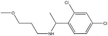 [1-(2,4-dichlorophenyl)ethyl](3-methoxypropyl)amine