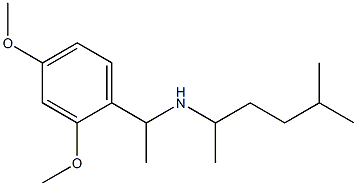[1-(2,4-dimethoxyphenyl)ethyl](5-methylhexan-2-yl)amine 化学構造式