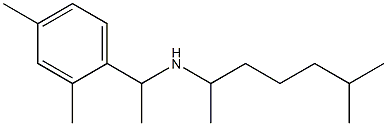 [1-(2,4-dimethylphenyl)ethyl](6-methylheptan-2-yl)amine Structure