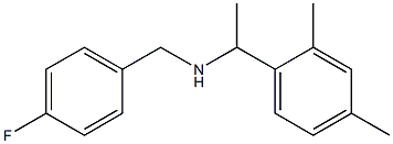  [1-(2,4-dimethylphenyl)ethyl][(4-fluorophenyl)methyl]amine