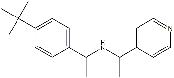 [1-(4-tert-butylphenyl)ethyl][1-(pyridin-4-yl)ethyl]amine,,结构式