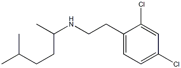 [2-(2,4-dichlorophenyl)ethyl](5-methylhexan-2-yl)amine Structure