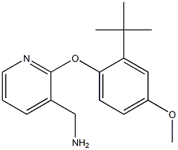 [2-(2-tert-butyl-4-methoxyphenoxy)pyridin-3-yl]methylamine 化学構造式