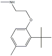 [2-(2-tert-butyl-4-methylphenoxy)ethyl](methyl)amine 化学構造式