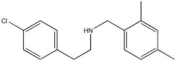 [2-(4-chlorophenyl)ethyl][(2,4-dimethylphenyl)methyl]amine