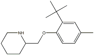 2-(2-tert-butyl-4-methylphenoxymethyl)piperidine 结构式
