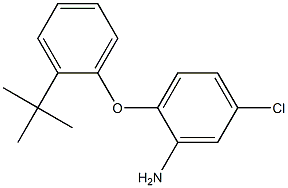 2-(2-tert-butylphenoxy)-5-chloroaniline