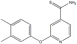2-(3,4-dimethylphenoxy)pyridine-4-carbothioamide Struktur