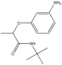 2-(3-aminophenoxy)-N-tert-butylpropanamide