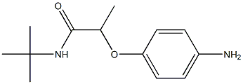 2-(4-aminophenoxy)-N-tert-butylpropanamide Structure