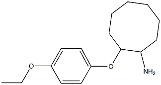 2-(4-ethoxyphenoxy)cyclooctan-1-amine Struktur