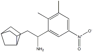 2-{bicyclo[2.2.1]heptan-2-yl}-1-(2,3-dimethyl-5-nitrophenyl)ethan-1-amine