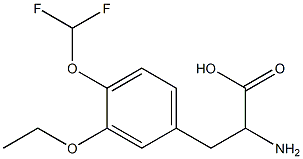 2-amino-3-[4-(difluoromethoxy)-3-ethoxyphenyl]propanoic acid