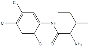 2-amino-3-methyl-N-(2,4,5-trichlorophenyl)pentanamide|