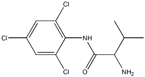  2-amino-3-methyl-N-(2,4,6-trichlorophenyl)butanamide