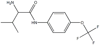 2-amino-3-methyl-N-[4-(trifluoromethoxy)phenyl]butanamide