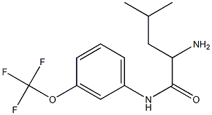 2-amino-4-methyl-N-[3-(trifluoromethoxy)phenyl]pentanamide