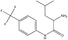 2-amino-4-methyl-N-[4-(trifluoromethyl)phenyl]pentanamide Structure