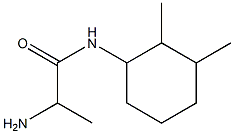 2-amino-N-(2,3-dimethylcyclohexyl)propanamide Struktur