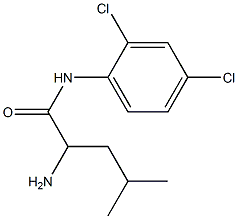 2-amino-N-(2,4-dichlorophenyl)-4-methylpentanamide Structure