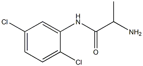 2-amino-N-(2,5-dichlorophenyl)propanamide 结构式