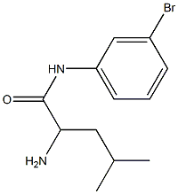 2-amino-N-(3-bromophenyl)-4-methylpentanamide 化学構造式