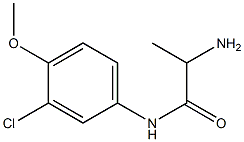 2-amino-N-(3-chloro-4-methoxyphenyl)propanamide Structure