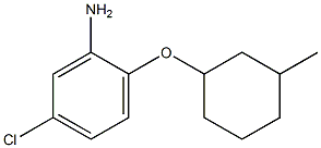 5-chloro-2-[(3-methylcyclohexyl)oxy]aniline Structure