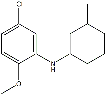 5-chloro-2-methoxy-N-(3-methylcyclohexyl)aniline Struktur