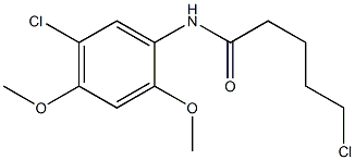 5-chloro-N-(5-chloro-2,4-dimethoxyphenyl)pentanamide,,结构式