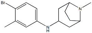 N-(4-bromo-3-methylphenyl)-8-methyl-8-azabicyclo[3.2.1]octan-3-amine Struktur