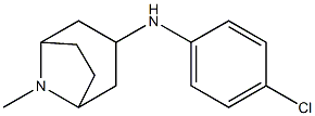 N-(4-chlorophenyl)-8-methyl-8-azabicyclo[3.2.1]octan-3-amine Structure