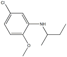 N-(butan-2-yl)-5-chloro-2-methoxyaniline 化学構造式