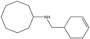 N-(cyclohex-3-en-1-ylmethyl)cyclooctanamine Struktur