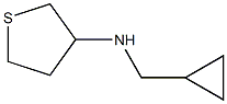 N-(cyclopropylmethyl)thiolan-3-amine Struktur