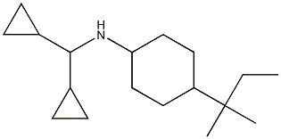 N-(dicyclopropylmethyl)-4-(2-methylbutan-2-yl)cyclohexan-1-amine