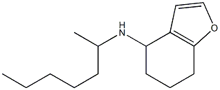 N-(heptan-2-yl)-4,5,6,7-tetrahydro-1-benzofuran-4-amine Structure