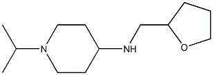 N-(oxolan-2-ylmethyl)-1-(propan-2-yl)piperidin-4-amine Structure