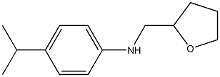 N-(oxolan-2-ylmethyl)-4-(propan-2-yl)aniline Structure