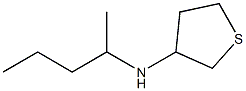 N-(pentan-2-yl)thiolan-3-amine