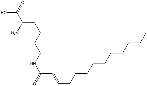 N6-(2-Tridecenoyl)lysine,,结构式