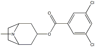 3,5-Dichlorobenzoic acid tropan-3-yl ester Structure
