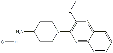 1-(3-Methoxyquinoxalin-2-yl)piperidin-4-amine hydrochloride,,结构式
