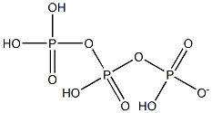 tetrahydrogen triphosphate ion Struktur