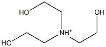 Triethanolammonium Struktur