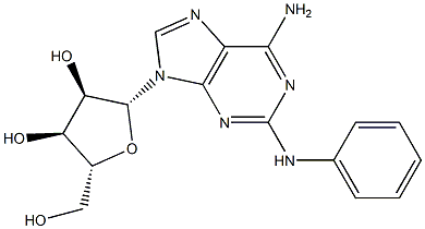 2-Phenylamino-D-adenosine Struktur
